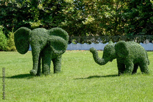Fotografie Elephants made from trimmed bushes