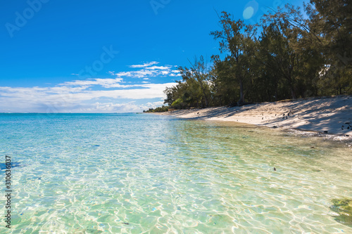 Fototapeta Naklejka Na Ścianę i Meble -  Tropical scenery with beach, trees, transparent ocean of Mauritius
