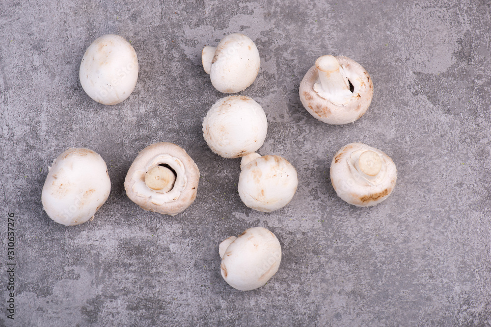 White champignons on a grey structured background White champignons on a grey structured background