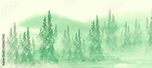 Watercolor group of trees - fir, pine, cedar, fir-tree. green forest, countryside landscape. abstract fog forest, silhouette of trees. Beautiful forest landscape on a mountainside