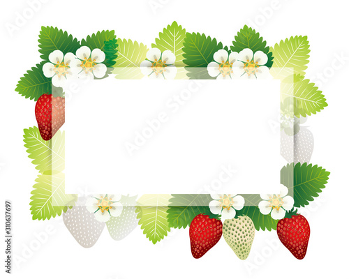 frame with strawberry and blossom background