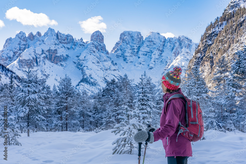 active senior woman snowshoeing in  spectacular Hoehlenstein Valley under the Monte Crstallo, Dolomites  near village of Toblach, South Tyrol, Italy
