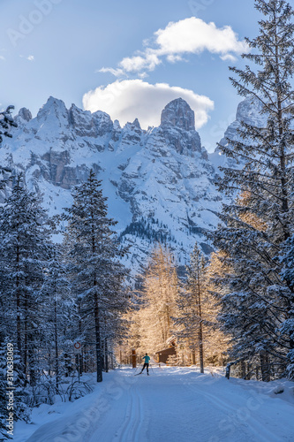 winter Mountain landscape i...