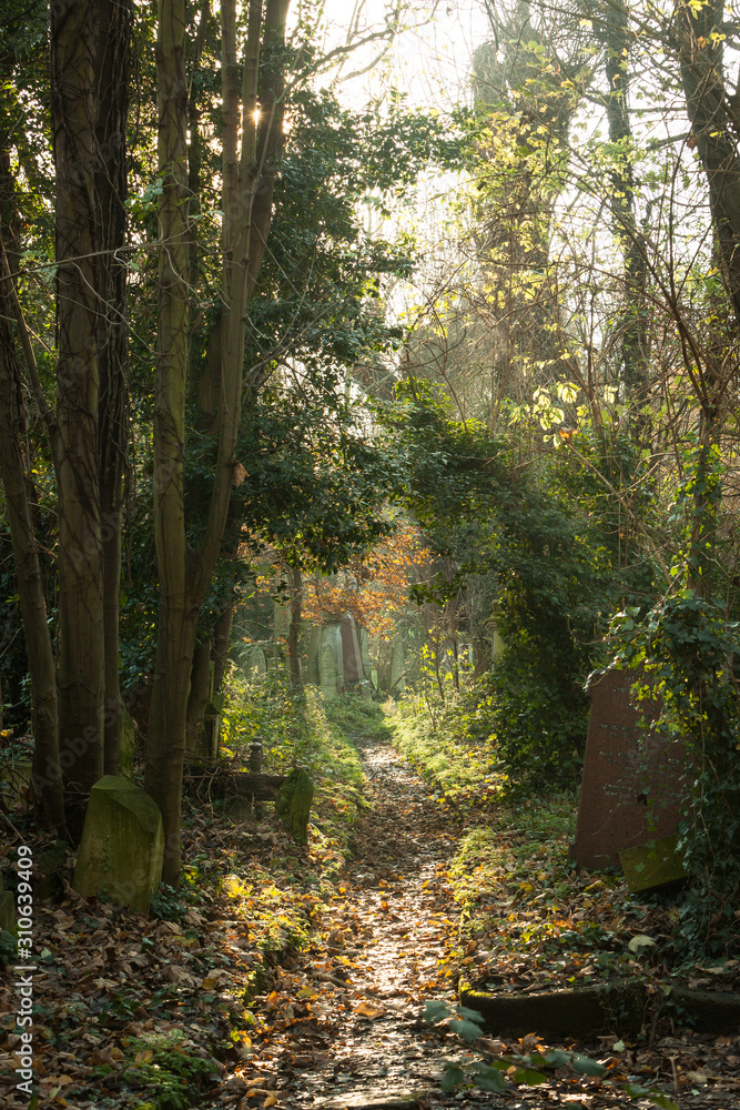 Fototapeta premium Cemetery: autumnal path