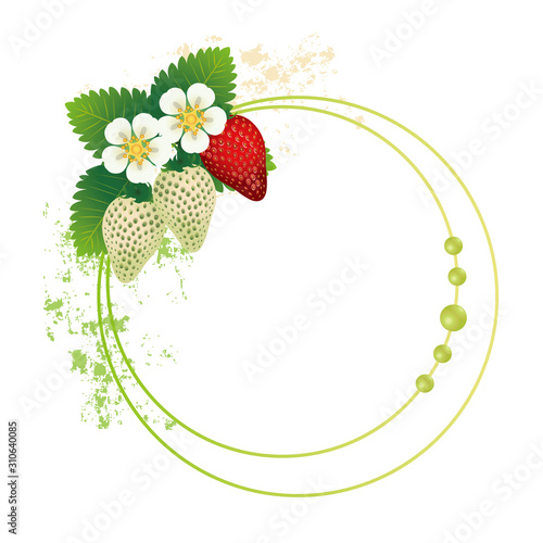 frame with strawberry and blossom background
