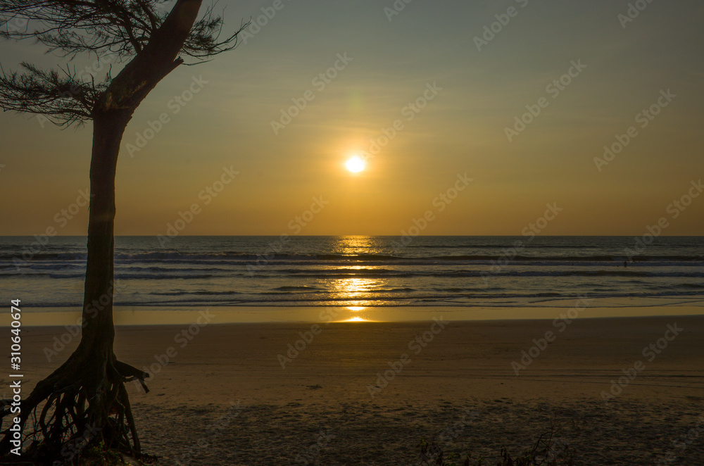 Tropical landscape sunset among tree Tropical landscape sunset among tree