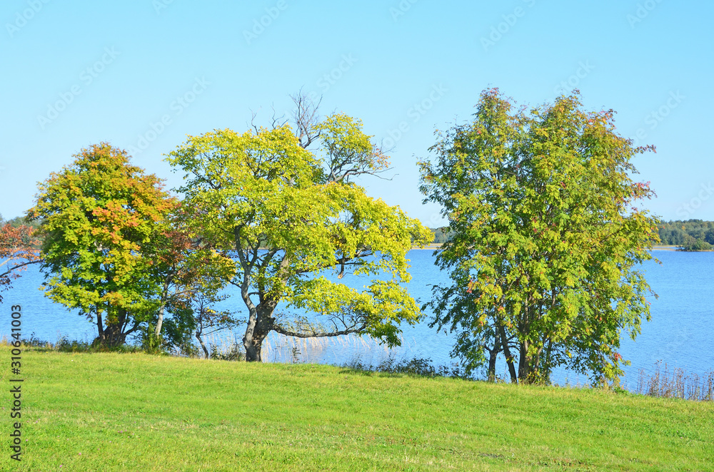 Russia, Karelia. The store of lake Onega in autumn in Kizhi Russia, Karelia. The store of lake Onega in autumn in Kizhi