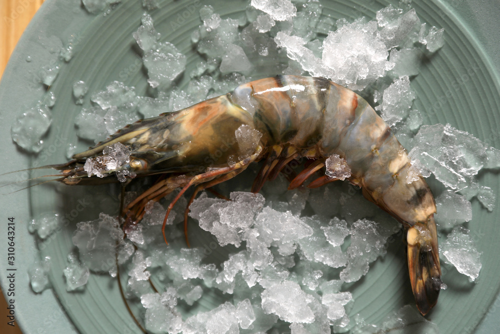 Fresh black tiger shrimp with ice on plate, top view