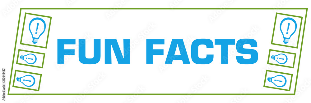 Fun Facts Green Blue Border Boxes Horizontal Fun Facts Green Blue Border Boxes Horizontal