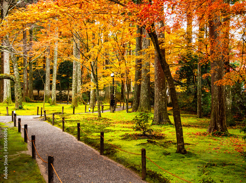 秋の京都　三千院 photo