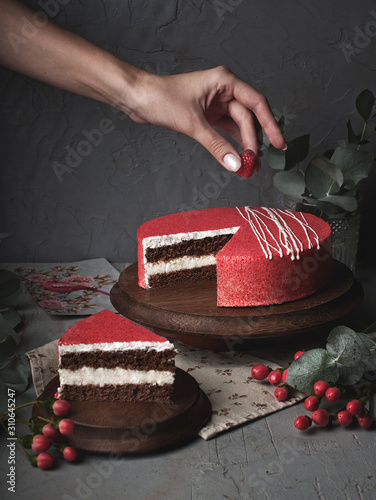 red cake with raspberries and chocolate, female rka holds a berry on a gray background photo