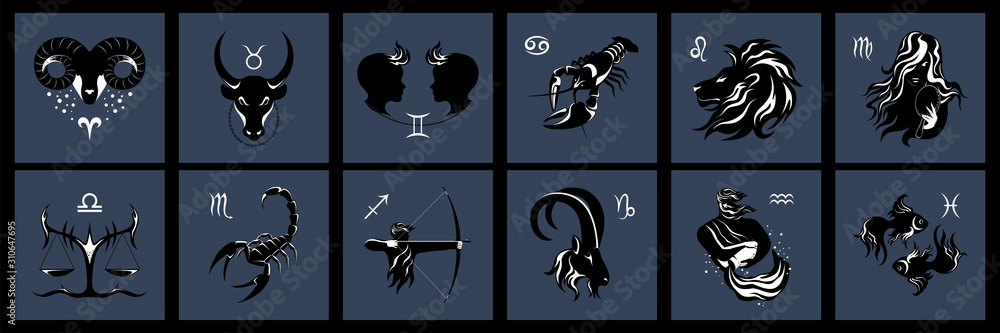 Set of vector images of the zodiac signs. Twelve zodiac signs. - obrazy, fototapety, plakaty 