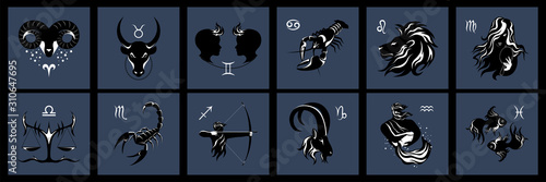 Set of vector images of the zodiac signs. Twelve zodiac signs.
