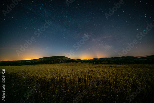 starry night in the wheat fields