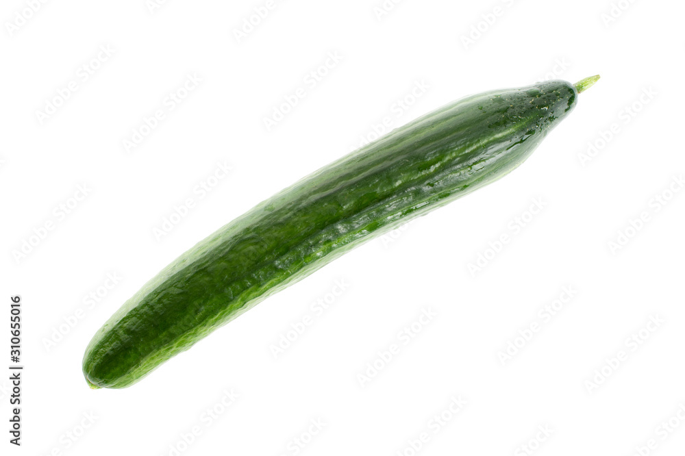 Organic Fresh Cucumber Organic Fresh Cucumber