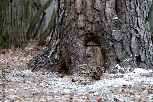door small wooden 