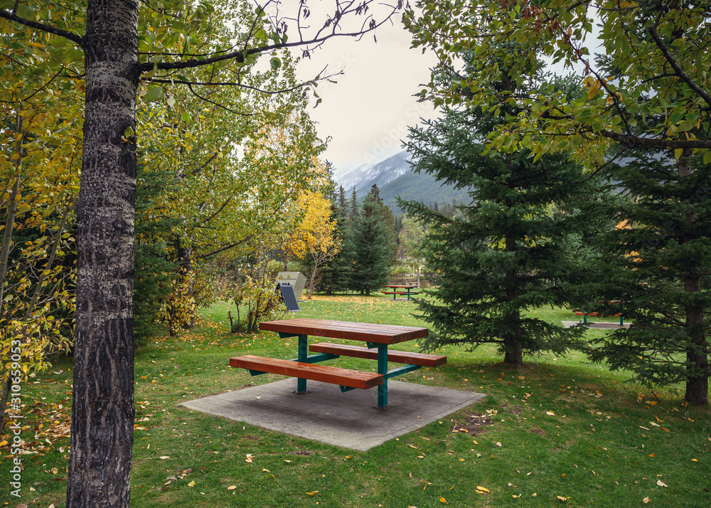 Wooden picnic tables in autumn garden at park