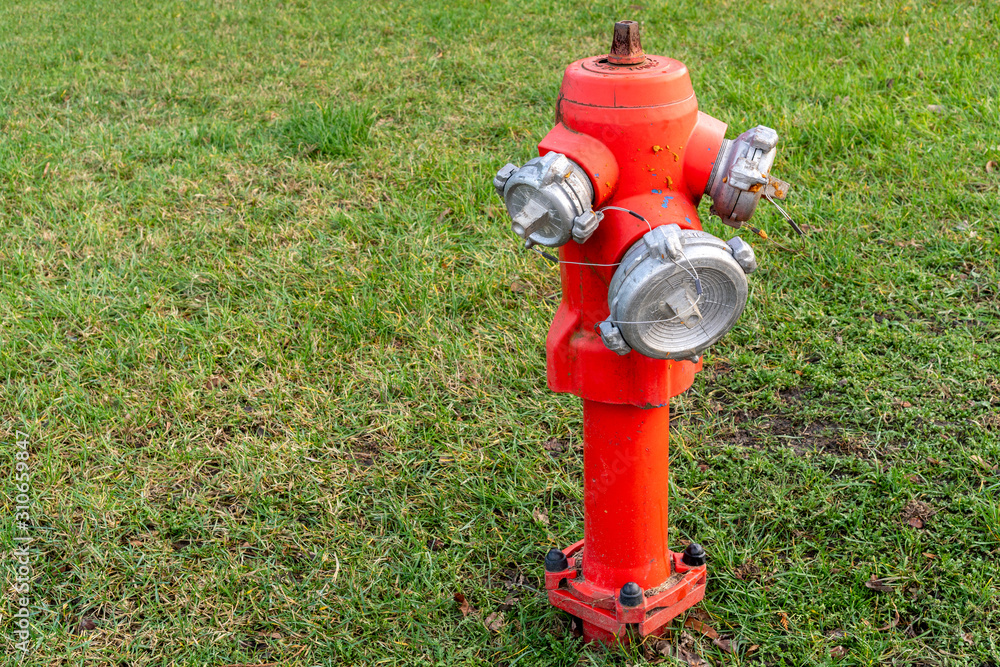 Red fire hydrant stands on a green lawn