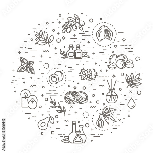 Vector set of natural ingredients and oils for cosmetics in linear style