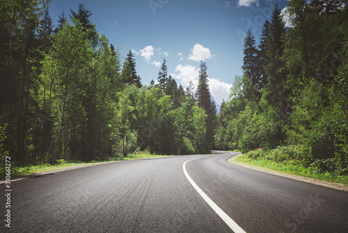 Fototapeta Naklejka Na Ścianę i Meble -  country road through forest. summer.