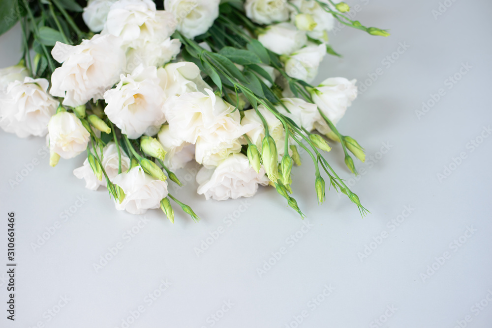 Beautiful bouquet of white flowers on a grey background. Free space for text. A romantic date, a gift. Bouquet for the tender bride girl, witnesses. Declaration of love. White fresh branch close up Beautiful bouquet of white flowers on a grey background. Free space for text. A romantic date, a gift. Bouquet for the tender bride girl, witnesses. Declaration of love. White fresh branch close up