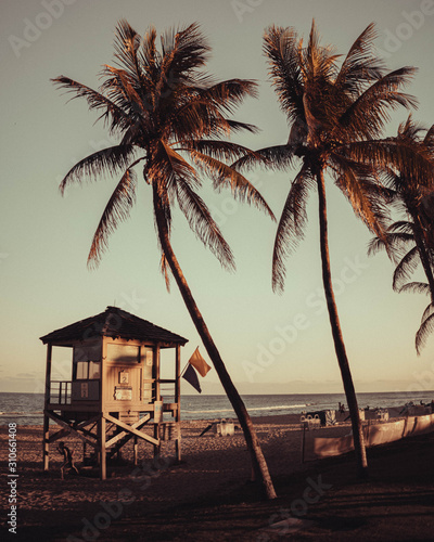 Photo of liveguard booth on the beach near palm trees  Sunset  Deerfield Beach  Florida