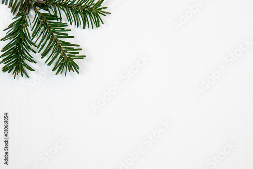 Christmas motif  texture  background with branch of a Nordmann fir on the top left on a white background with free space for text.