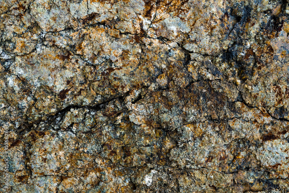 The texture of the stone overgrown with moss. Background image of a boulder The texture of the stone overgrown with moss. Background image of a boulder