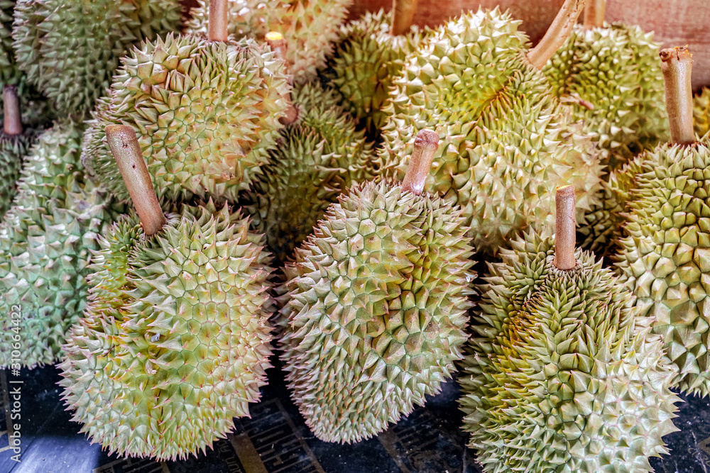 Durian fruit, King of fruits, Southeast Asia as the Durian fruit, King of fruits, Southeast Asia as the