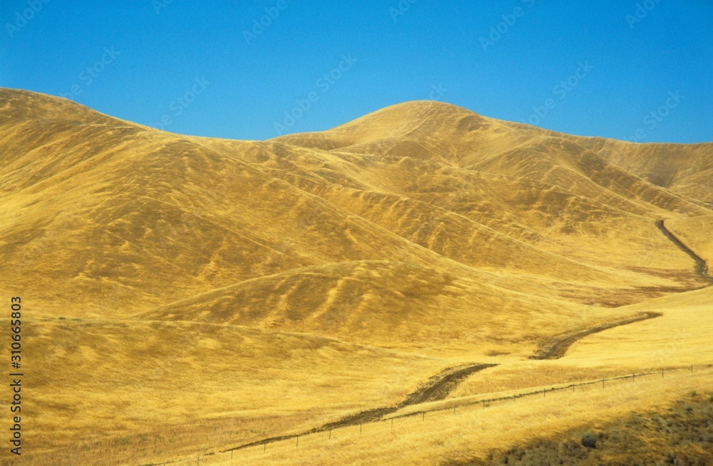 Road across yellow hills
