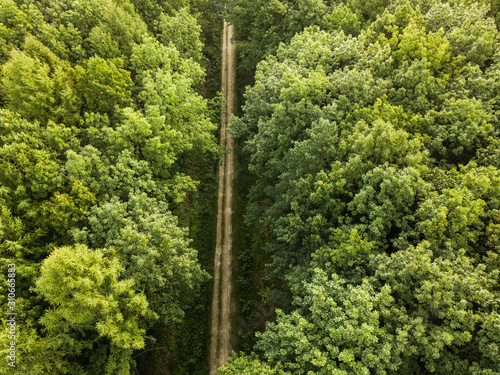 Aerial view of a provincial road passing through a forest