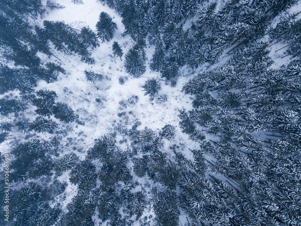 Aerial from top of snowy mountain pines in the middle of the winter Aerial from top of snowy mountain pines in the middle of the winter