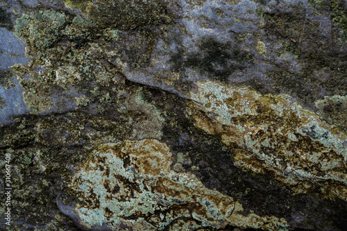 Texture of wet stone covered with moss. Background image of macro photography texture stone