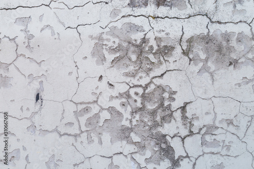 White cement wall with Mold texture background