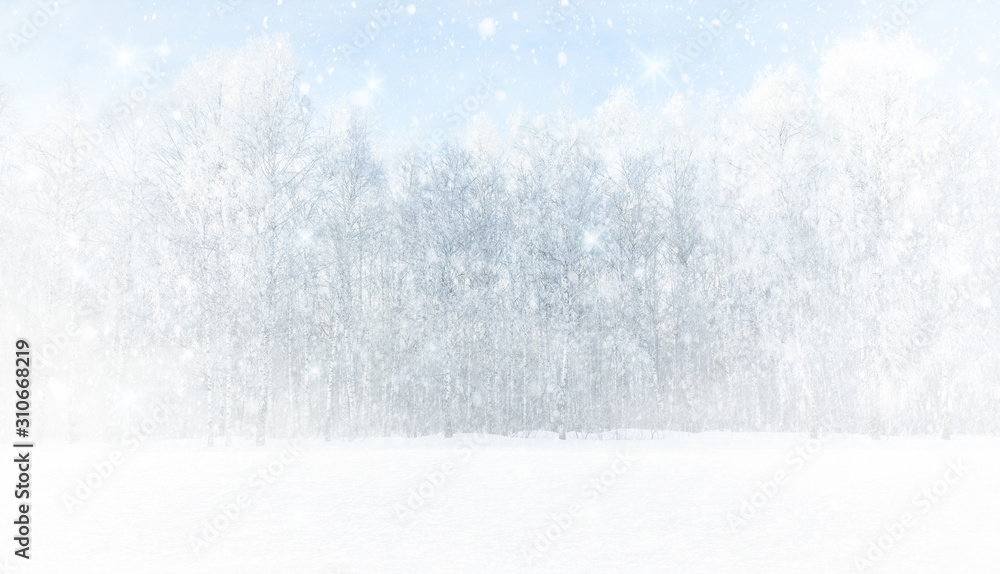 Fototapeta premium Strong blizzard in a birch grove. Winter abstract landscape. Background from falling snow. Panoramic image.