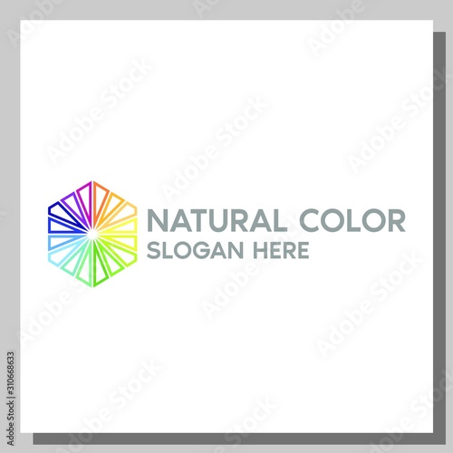 natural color logo, can be used for website and company logos
