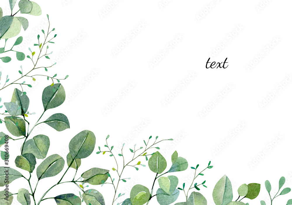 Obraz premium Watercolor banner with hand painted silver dollar eucalyptus and greenery plants. Branches and leaves isolated on white background. Floral illustration for wedding card, greeting card, frame.