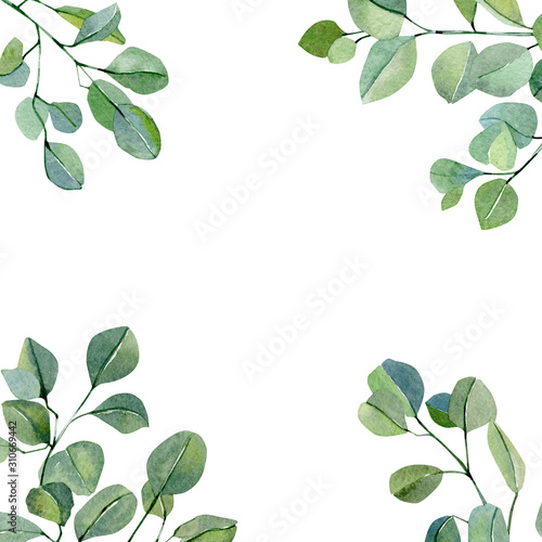 Watercolor banner with hand painted silver dollar eucalyptus. Branches and leaves isolated on white background. Floral illustration for wedding inspiration card, poster, print, template, party card.