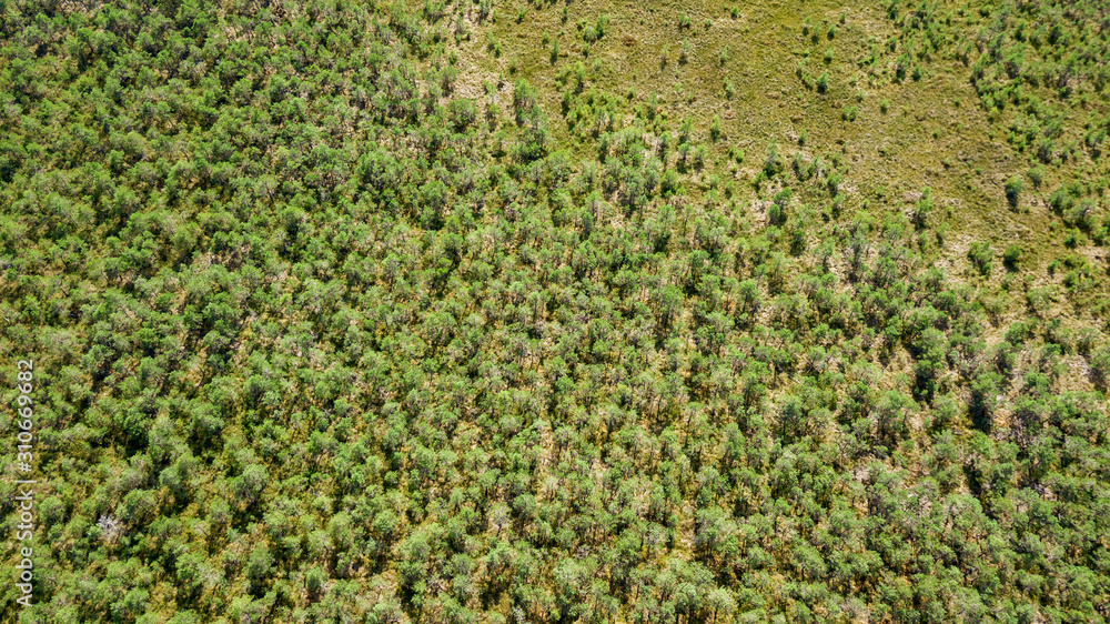 Aerial view of a green forest. Texture and beatiful background. Aerial view of a green forest. Texture and beatiful background.