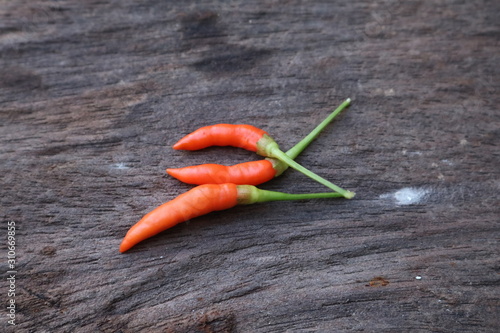  Collect chilies from the garden to cook this meal