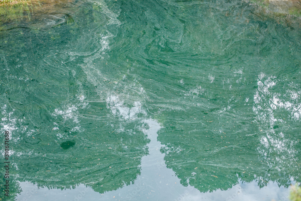 Obraz premium PAttern in the water 