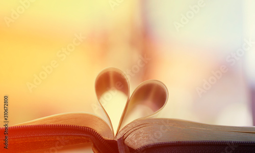 Open book with heart shaped pages. Love for reading. Isolated                                    