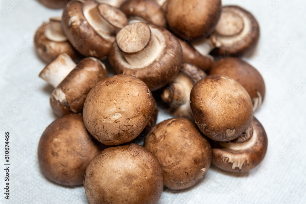close up fresh mushrooms 