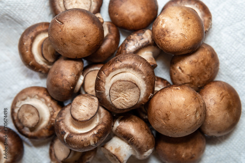 close up fresh mushrooms 
