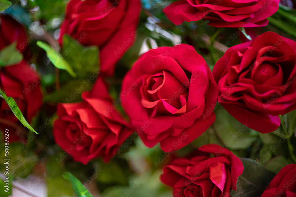 Artificial rose flower as valentine background Artificial rose flower as valentine background