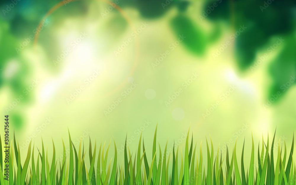 Grass on a green natural background
