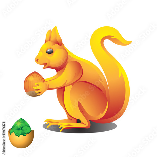 An animal squirrel holds a nut in its paws on a white isolated background. Vector image