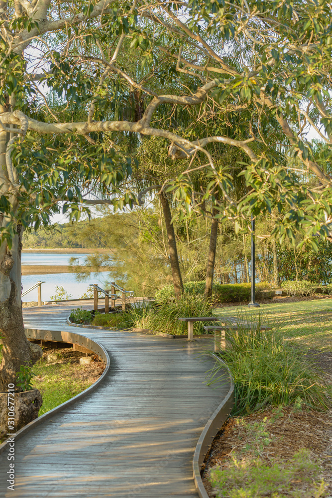 A boardwalk in a lush coastanl area in Queensland, Australia.