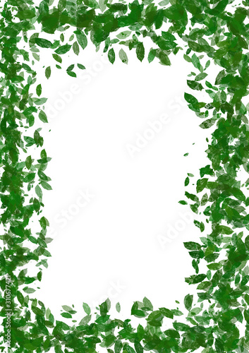 Wallpaper Mural Green Leaf on white Background Torontodigital.ca