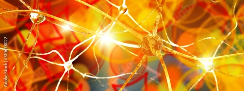Canvas Print Brain neuron, brain activity, human neural network, nerve node, 3D rendering